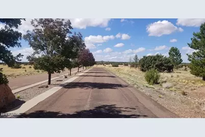 7693 Arroyo Plata Drive, Show Low, AZ 85901 - Photo 3