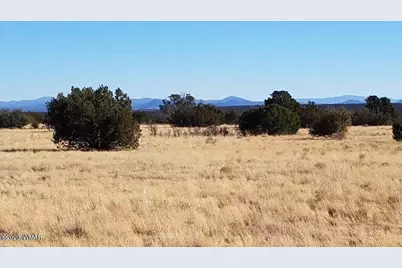 7693 Arroyo Plata Drive, Show Low, AZ 85901 - Photo 9