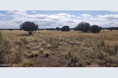 7687 Arroyo Plata Drive, Shumway, AZ 85901 - Photo 11