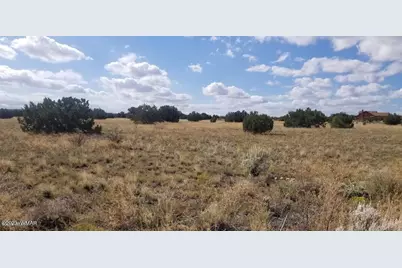 7687 Arroyo Plata Drive, Shumway, AZ 85901 - Photo 9