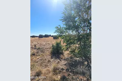 7687 Arroyo Plata Drive, Shumway, AZ 85901 - Photo 3