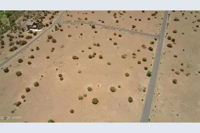 7687 Arroyo Plata Drive, Shumway, AZ 85901 - Photo 31