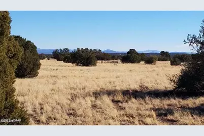 7687/7693 Arroyo Plata Drive, Show Low, AZ 85901 - Photo 7