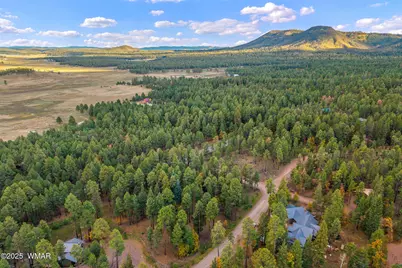 000 County Road 2196, Alpine, AZ 85920 - Photo 7