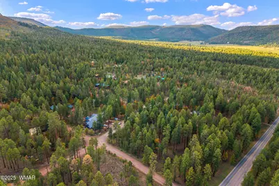 000 County Road 2196, Alpine, AZ 85920 - Photo 5