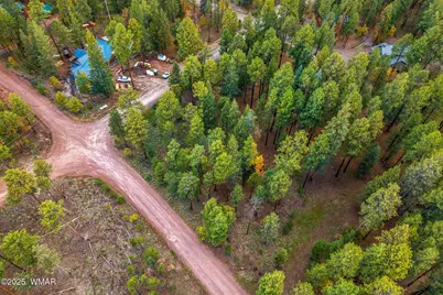 000 County Road 2196, Alpine, AZ 85920 - Photo 11