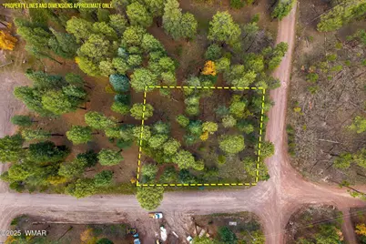 000 County Road 2196, Alpine, AZ 85920 - Photo 3