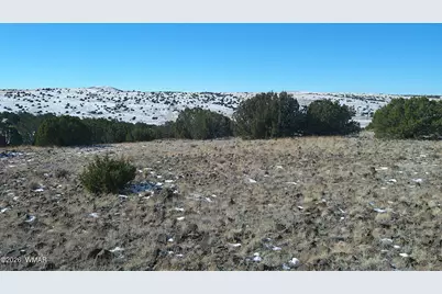 0 Concho Valley, Concho Valley, AZ 85924 - Photo 1
