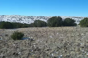 0 Concho Valley, Concho Valley, AZ 85924 - Photo 1