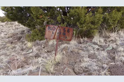 0 Concho Valley, Concho Valley, AZ 85924 - Photo 17