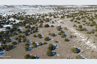 0 Concho Valley, Concho Valley, AZ 85924 - Photo 9