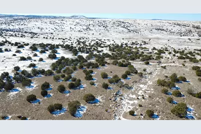 0 Concho Valley, Concho Valley, AZ 85924 - Photo 11