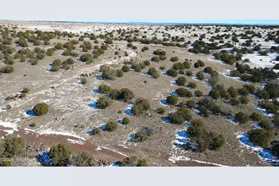 0 Concho Valley, Concho Valley, AZ 85924 - Photo 5