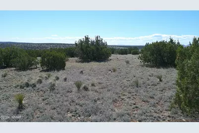 1 Concho Valley, Concho, AZ 85924 - Photo 27