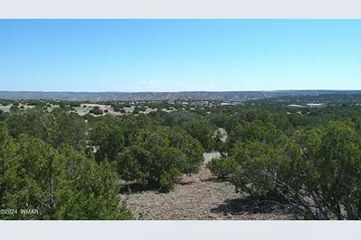 1 Concho Valley, Concho, AZ 85924 - Photo 31