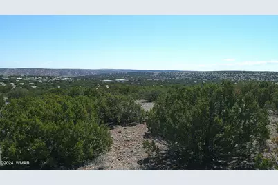 1 Concho Valley, Concho, AZ 85924 - Photo 33