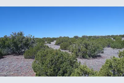 1 Concho Valley, Concho, AZ 85924 - Photo 35