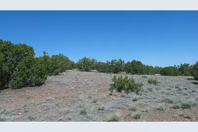 1 Concho Valley, Concho, AZ 85924 - Photo 19