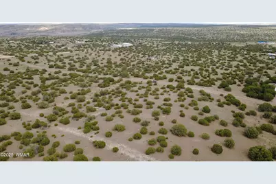 1 Concho Valley, Concho, AZ 85924 - Photo 11