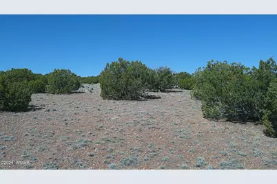 1 Concho Valley, Concho, AZ 85924 - Photo 21