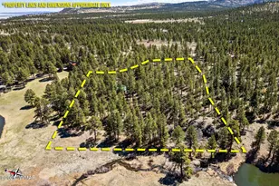 9 Cr N 1029 St, Greer, AZ 85927 - Photo 1