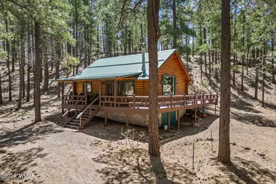 9 Cr N 1029 Street, Greer, AZ 85927 - Photo 5