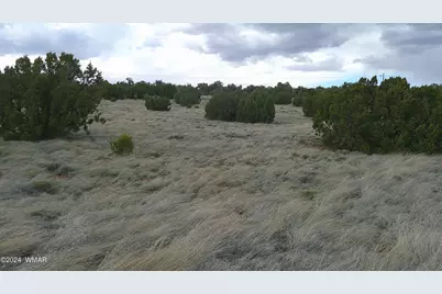 24 County Road 8009, Concho, AZ 85924 - Photo 21