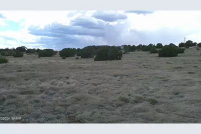 24 County Road 8009, Concho, AZ 85924 - Photo 19