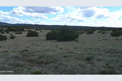 24 County Road 8009, Concho, AZ 85924 - Photo 17