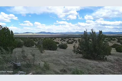 24 County Road 8009, Concho, AZ 85924 - Photo 13