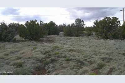 24 County Road 8009, Concho, AZ 85924 - Photo 15