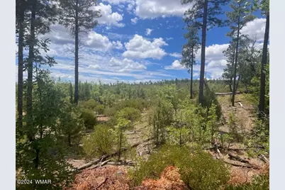 Lot 015 Fieldy Road, Show Low, AZ 85901 - Photo 27