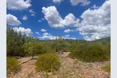 Lot 015 Fieldy Road, Show Low, AZ 85901 - Photo 19