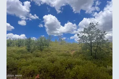 Lot 015 Fieldy Road, Show Low, AZ 85901 - Photo 9