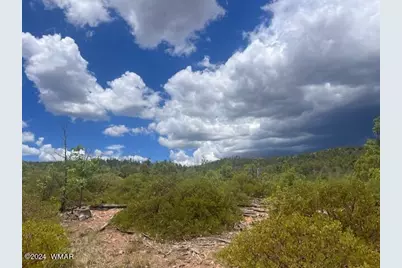 Lot 015 Fieldy Road, Show Low, AZ 85901 - Photo 17