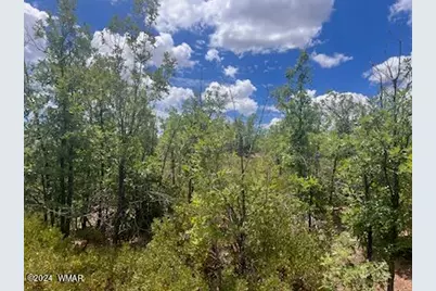 Lot 015 Fieldy Road, Show Low, AZ 85901 - Photo 21