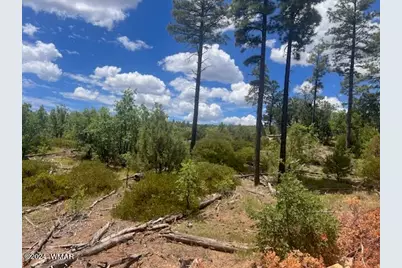 Lot 015 Fieldy Road, Show Low, AZ 85901 - Photo 23