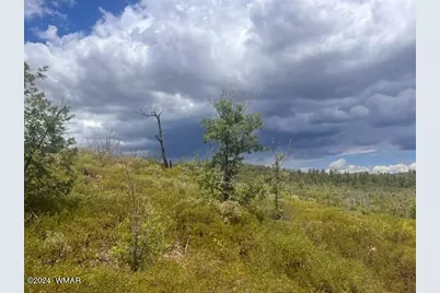 Lot 015 Fieldy Road, Show Low, AZ 85901 - Photo 15