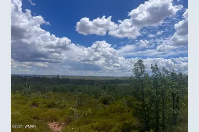 Lot 015 Fieldy Road, Show Low, AZ 85901 - Photo 13