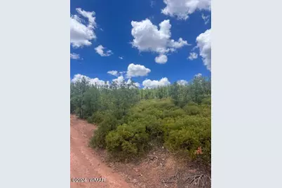Lot 015 Fieldy Road, Show Low, AZ 85901 - Photo 5