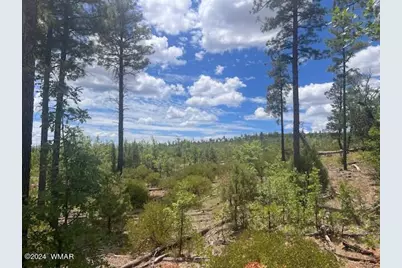 Lot 015 Fieldy Road, Show Low, AZ 85901 - Photo 25
