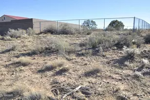 5196 White Antelope Road, Snowflake, AZ 85937 - Photo 47