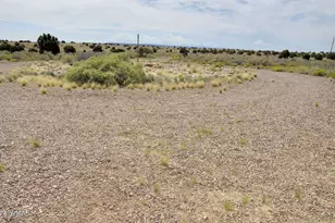 5196 White Antelope Road, Snowflake, AZ 85937 - Photo 55