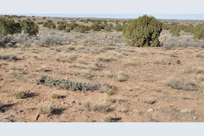 5196 White Antelope Road, Snowflake, AZ 85937 - Photo 51