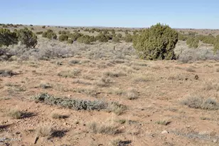 5196 White Antelope Road, Snowflake, AZ 85937 - Photo 51