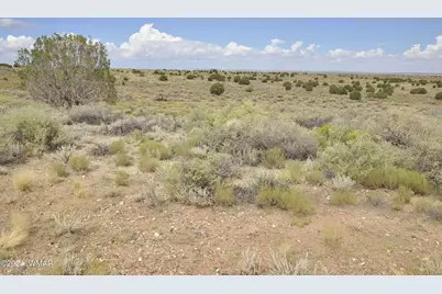 5196 White Antelope Road, Snowflake, AZ 85937 - Photo 49