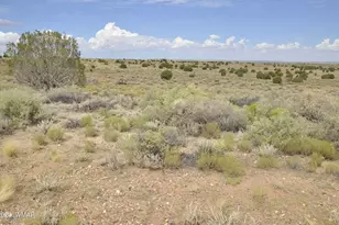 5196 White Antelope Road, Snowflake, AZ 85937 - Photo 49