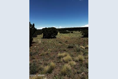 45 Cr 5169, Concho, AZ 85924 - Photo 1