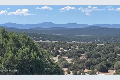 54 Schultz Road, Concho, AZ 85924 - Photo 11