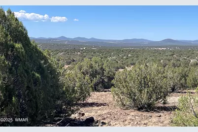 54 Schultz Road, Concho, AZ 85924 - Photo 7